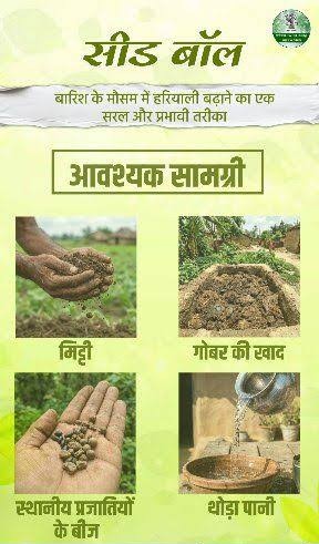 सीड बॉल अभियान- हरियाली बढ़ाने का सरल और प्रभावी माध्यम